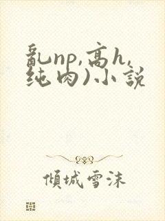 乱np,高h,纯肉)小说封面