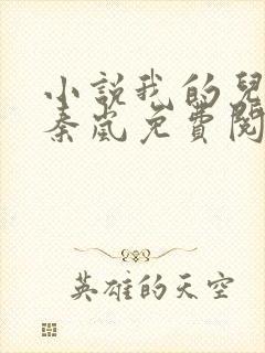 小说我的儿媳是秦岚免费阅读