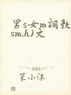 男s女m调教(sm,h)文