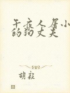 午夜人屠小说我的狗丈夫封面