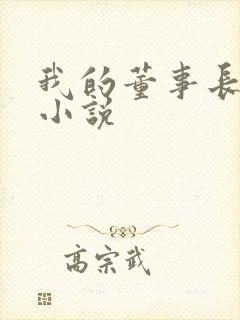 我的董事长老婆小说