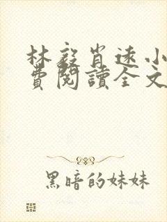 林毅肖远小说免费阅读全文最新章节