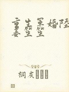 重生军婚陆寒砚姜笙笙封面