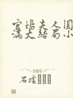 官场夫人圆润饱满大结局小说封面