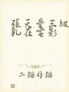 张天爱三级露全乳在电影