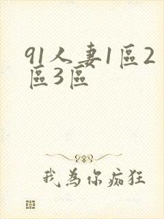 91人妻1区2区3区