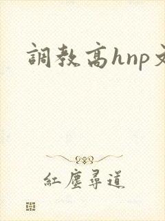 调教高hnp文