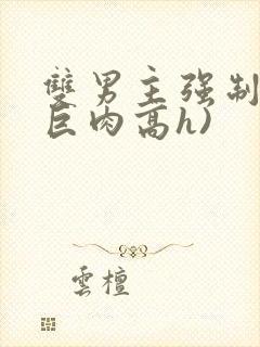 双男主强制爱(巨肉高h)