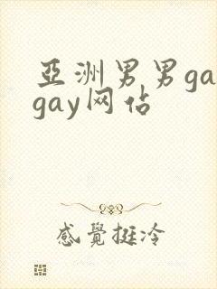 亚洲男男gaygay网站