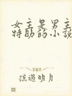 女主是男主首席特助的小说