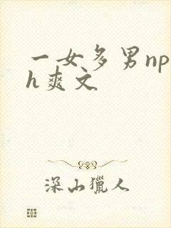 一女多男np高h爽文