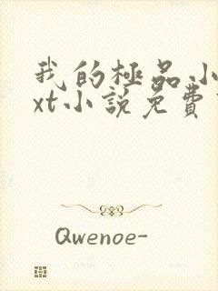 我的极品小姨txt小说免费下载