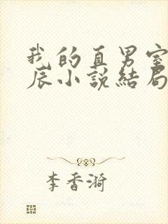 我的直男室友张辰小说结局