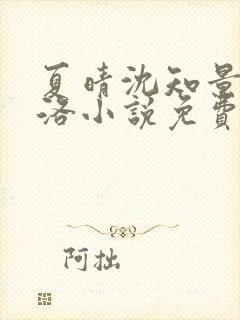 夏晴沈知景白洛洛小说免费听书