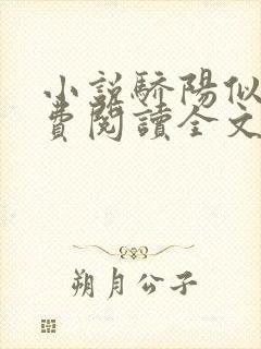 小说骄阳似我免费阅读全文无窗口