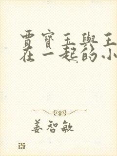 贾宝玉与王熙凤在一起的小说