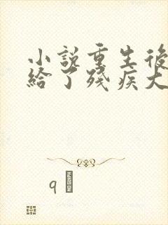 小说重生后我嫁给了残疾大佬