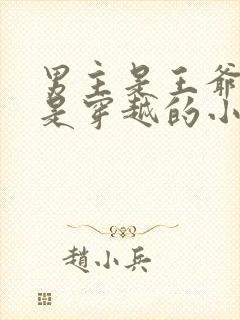 男主是王爷女主是穿越的小说