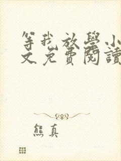 等我放学小说全文免费阅读