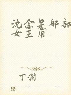 沈念是哪部小说女主角