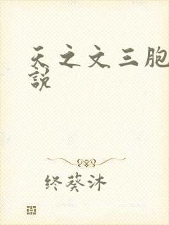 天之文三胞胎小说