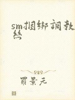 sm捆绑调教白丝封面