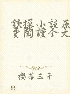 钦探小说原著免费阅读全文