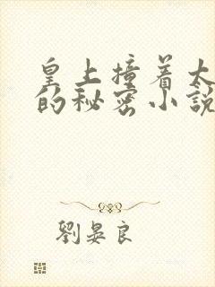 皇上撞着太子妃的秘密小说暮暮封面