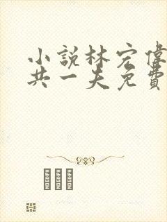 小说林宏伟三女共一夫免费阅读