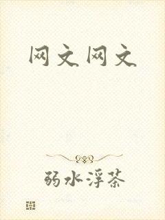 网文网文
