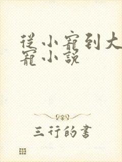 从小宠到大的甜宠小说