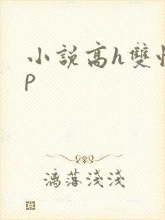 小说高h双性np封面