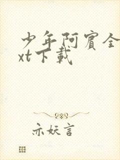 少年阿宾全文txt下载封面