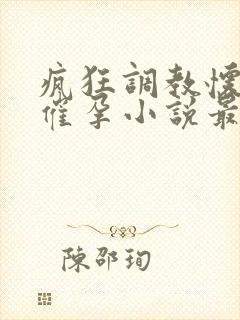 疯狂调教怀孕h催孕小说最新章节封面