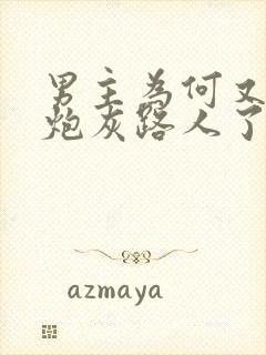 男主为何又爱上炮灰路人了免费阅读封面