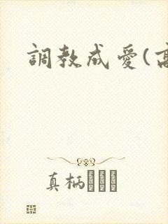调教成爱(高h