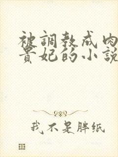 被调教成肉奴徐贵妃的小说