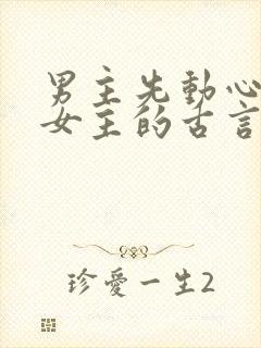 男主先动心苦追女主的古言