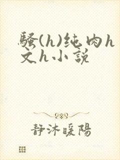 骚(h)纯肉h文h小说