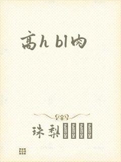 高h bl肉封面