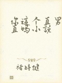 你这个直男 保直吗小说封面