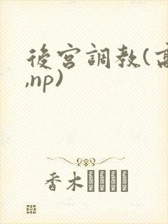 后宫调教(高h,np)封面