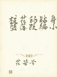 校花的贴身高手堕落改编小说