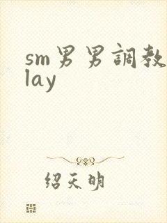 sm男男调教play