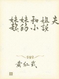 妹妹和姐夫在一起的小说封面