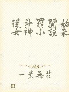 从斗罗开始俘获女神小说未删版