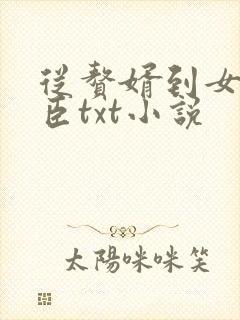 从赘婿到女帝宠臣txt小说