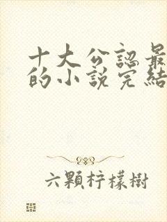 十大公认最好看的小说完结版