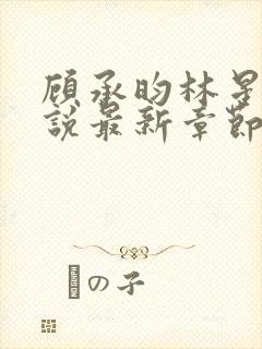 顾承昀林星禾小说最新章节免费阅读