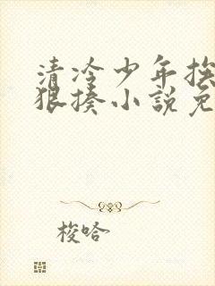 清冷少年挨爸爸狠揍小说免费阅读全